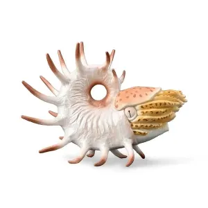 Cooperoceras - prehistorická figurka
