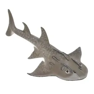 Collecta žralok Kytarovec křivoústý