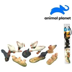 Zvířátka v tubě - farma,  5 - 8 cm, mobilní aplikace pro zobrazení zvířátek, 10 ks