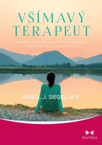 Všímavý terapeut - Daniel J. Siegel - e-kniha