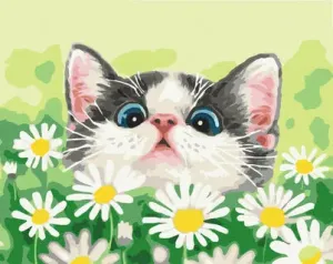 Symag Obraz Malování podle čísel - Kočka v sedmikráskách