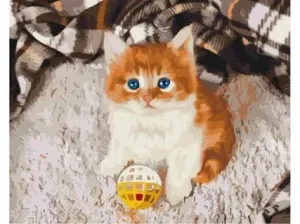 Symag Obraz Malování podle čísel - Pobavené kotě