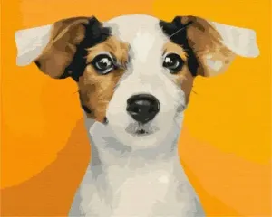 Symag Obraz Malování podle čísel - Portrét domácího mazlíčka
