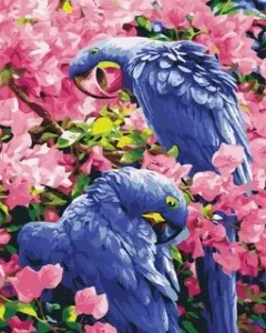 Symag Obraz Malování podle čísel - Ptáci v květinách