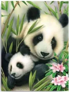 Kreativní set na malování - Panda s mláďátkem  (sada na malování podle)