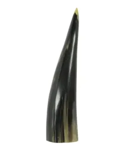 Dekorativní roh Bizon - 25cm HEH25