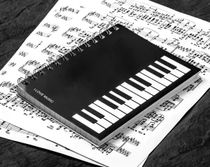 Hudební zápisník I love music