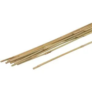 MEISTER Bambusová tyč Tonkin, 6-8 x 900  mm, 10 ks
