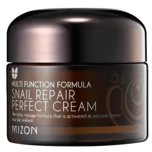 Mizon Pleťový krém s filtrátem hlemýždího sekretu 60% pro problematickou pleť (Snail Repair Perfect Cream) 50 ml #1789405