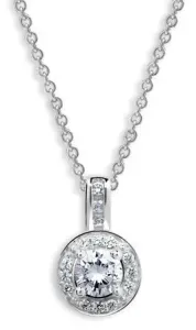 Modesi Půvabný stříbrný náhrdelník WAIYS-P (řetízek, přívěsek)