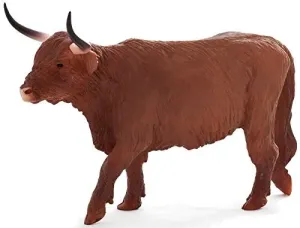 Mojo - Kráva Skotský náhorní skot
