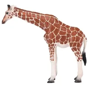 Mojo - Žirafa samice - novinka