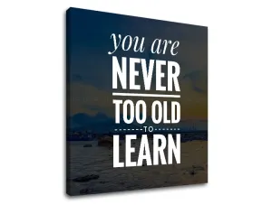 Motivační obraz na zeď You are never too old (obrazy s textem)