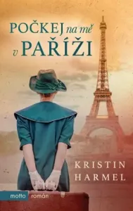 Počkej na mě v Paříži - Kristin Harmelová - e-kniha
