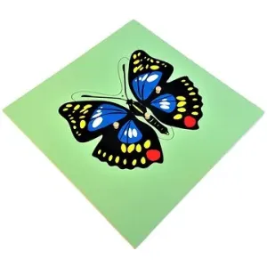 Puzzle - motýl #72512