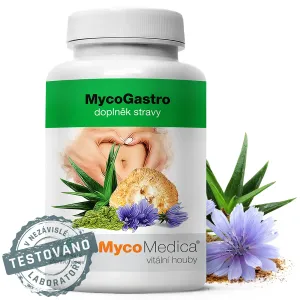 MycoMedica MycoGastro sypká směs pro přípravu nápoje 90 g