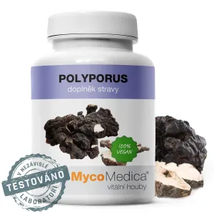 MycoMedica Polyporus 90 kapslí #1159171