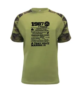 1987 v kostce - Raglan Military