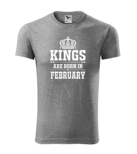 Kings are born in February - Viper FIT pánské triko