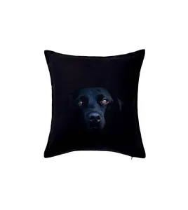 Černý Labrador fotka - Polštář 50x50