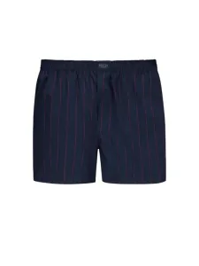 Nadměrná velikost: Novila, Pyžamové kalhoty v podobě boxerek z tkaniny Interlock, okenní káro Modrá #5441266