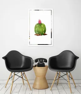Obraz Kaktus na zrcadle Mirrora 67 - 60x40 cm (Obrazy Mirrora)