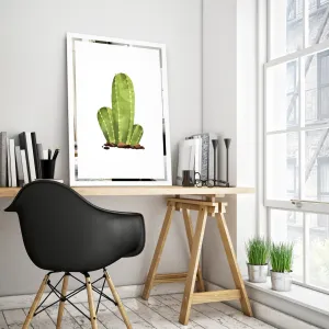Obraz Kaktus na zrcadle Mirrora 68 - 60x40 cm (Obrazy Mirrora)