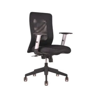 Ergonomická kancelářská židle OfficePro Calypso Barva: černá