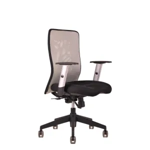 Ergonomická kancelářská židle OfficePro Calypso Barva: šedá