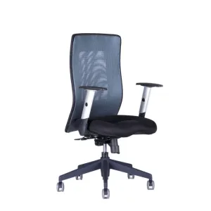 Ergonomická kancelářská židle OfficePro Calypso Grand Barva: antracitová, Opěrka hlavy: bez opěrky
