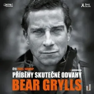 Příběhy skutečné odvahy - Bear Grylls - audiokniha #2982568