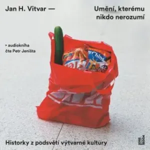 Umění, kterému nikdo nerozumí: Historky z podsvětí výtvarné kultury - Jan H. Vitvar - audiokniha