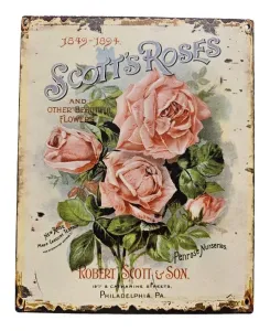 Béžová nástěnná kovová cedule s růžemi Scotts Roses - 20*25 cm 8PL-296820251111