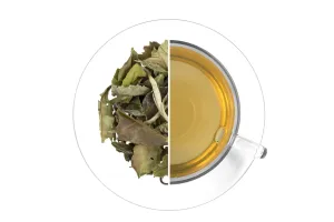 Oxalis čaj Pai Mu Tan 