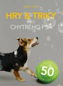 Hry a triky pro chytrého psa - 50 skvělých her pro výcvik plný zábavy - Sophie Collins