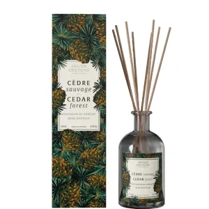 Panier des Sens Aroma difuzér Cedar Forest (Reed Difuzer) 245 ml