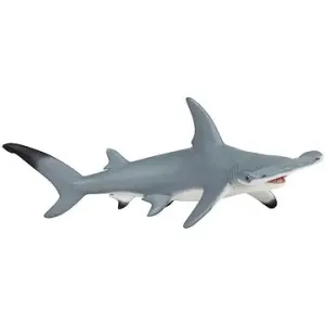 PAPO Žralok kladivoun