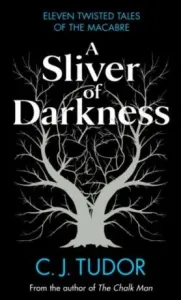 A Sliver of Darkness - C. J. Tudorová