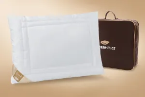 Picaso manufactury Zdravotní vyvařovací polštář Mirabell Visco Rozměr: 40x60 cm (400 g), Taška: dárková hnědá taška na zip