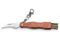 Houbařský kapesní nůž GUNTER, 11 cm, BEAVER
