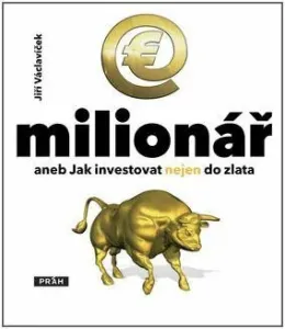 E - Milionář - Jiří Václavíček - e-kniha