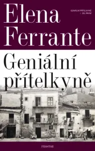 Geniální přítelkyně - Elena Ferrante - e-kniha