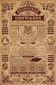 Pyramid Plakát Harry Potter - Quidditch in Hogwarts