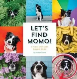 Let's Find Momo!: A Hide-And-Seek Board Book (Knapp Andrew)(Board Books)