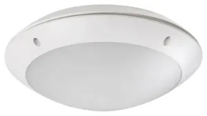 Rabalux - LED VenKovní stropní svítidlo LED/12W/230V IP54