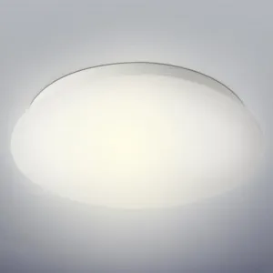 Rabalux - LED Stropní svítidlo 1xLED/24W/230V #658919