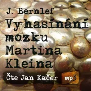 Vyhasínání mozku Martina Kleina - J. Bernlef - audiokniha