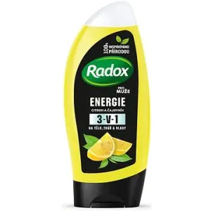 RADOX Energie sprchový gel pro muže 3v1 250 ml