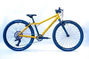 Rascal Bikes 24, Gold, 9rychlostní - řetěz