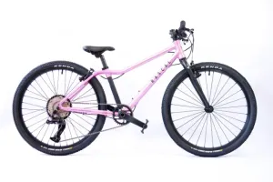 Rascal Bikes 24, Růžová, 9rychlostní - řetěz